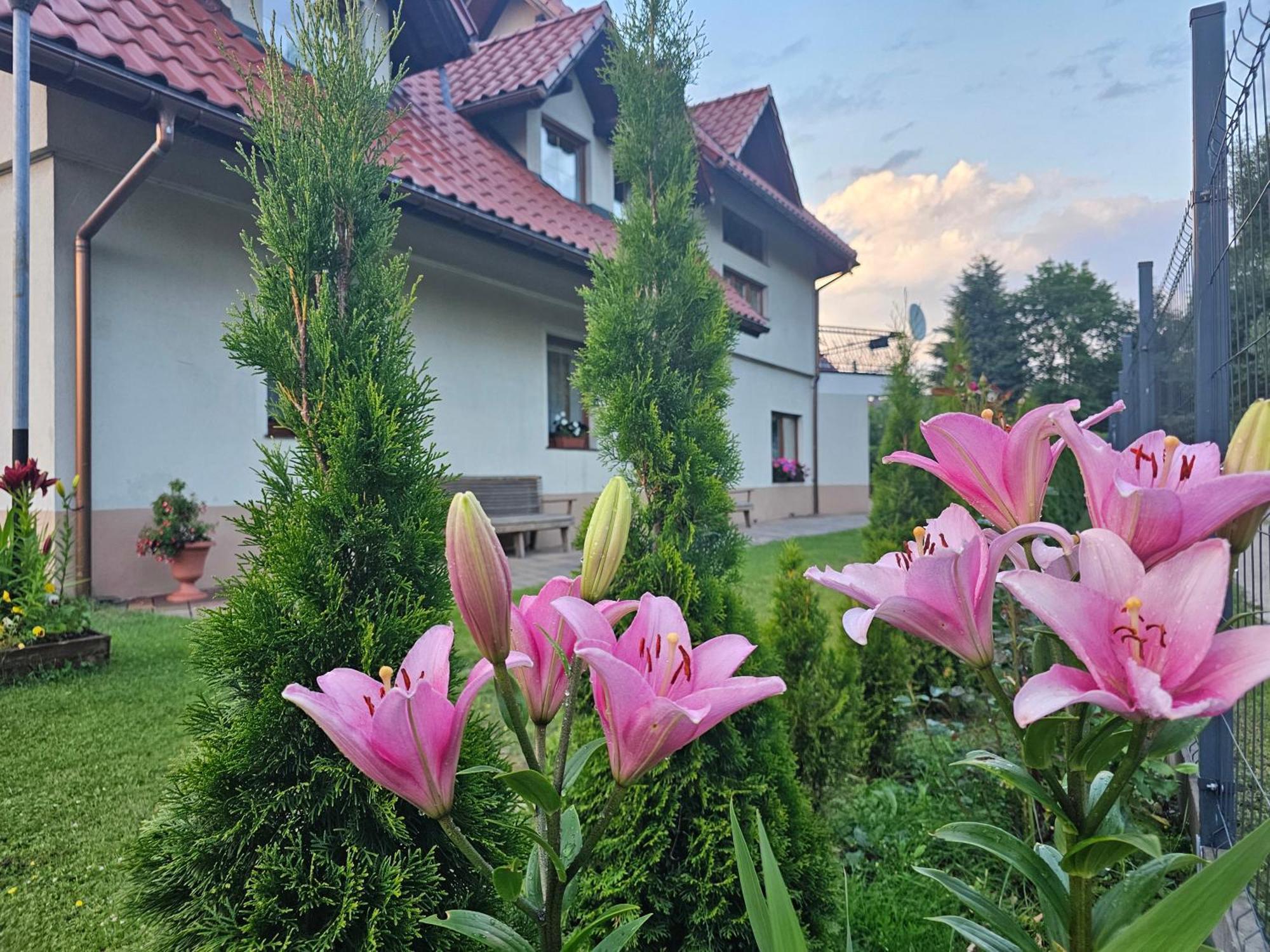 Dom Wypoczynkowy Beskidy Wegierska Gorka Buitenkant foto